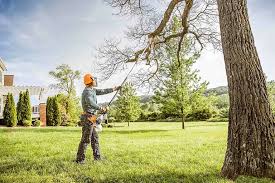 Best Storm Damage Tree Cleanup  in Barview, OR