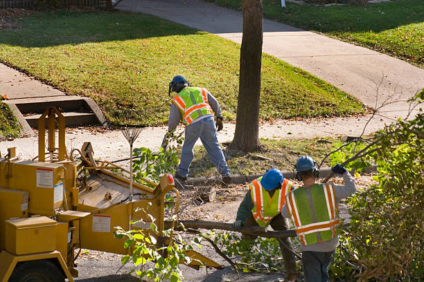 Lawn Watering Services in Barview, OR